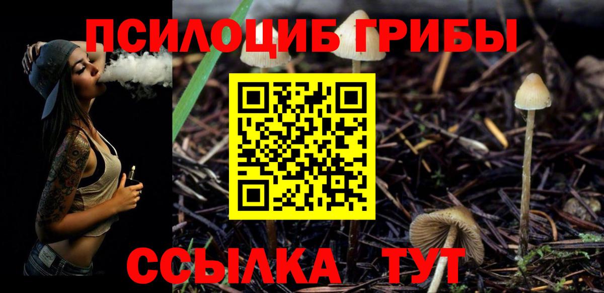 Советск  Псилоцибиновые грибы MAGIC MUSHROOMS  Вход с VPN 
